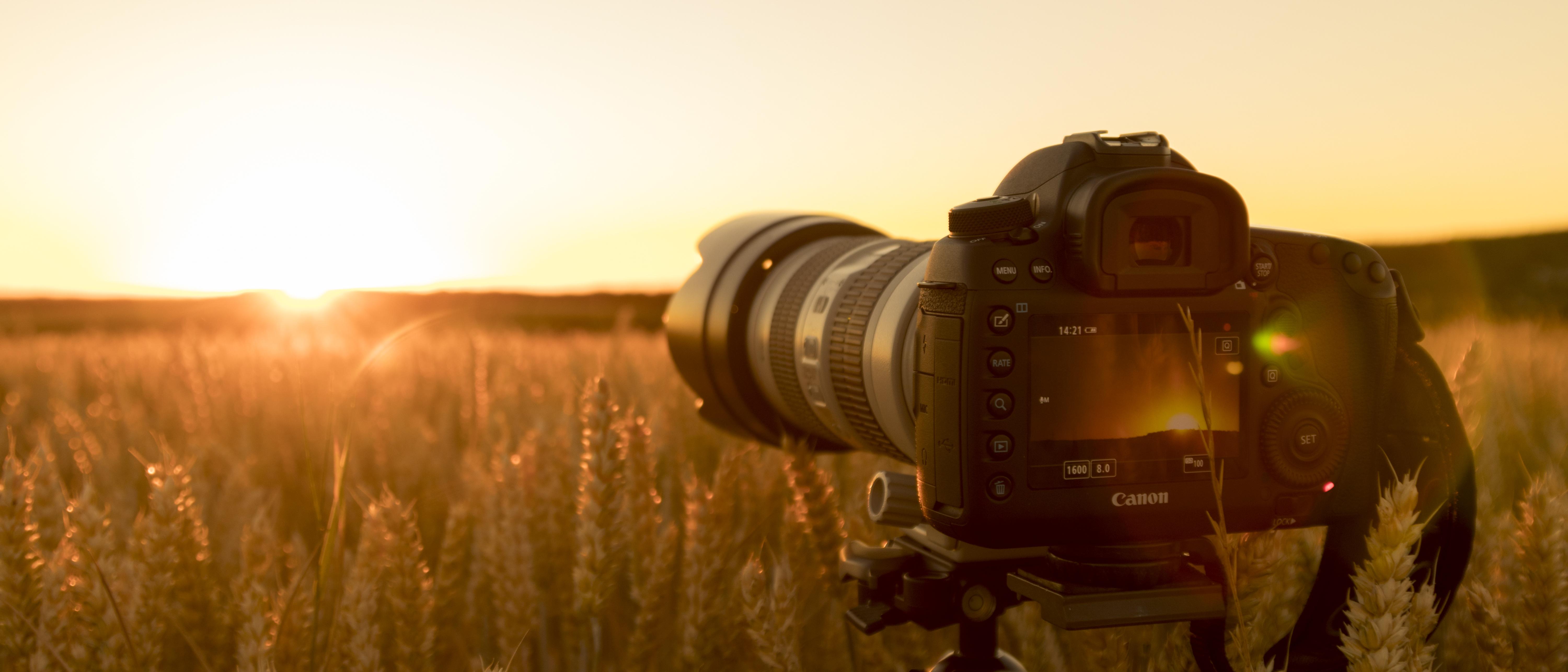 Product Photography (5 items)